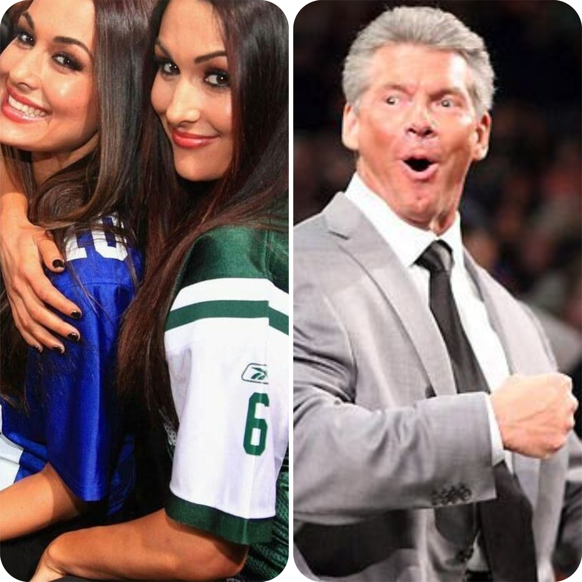 Nikki and Brie Bella Speak Out Amidst Vince McMahon's Controversial Lawsuit