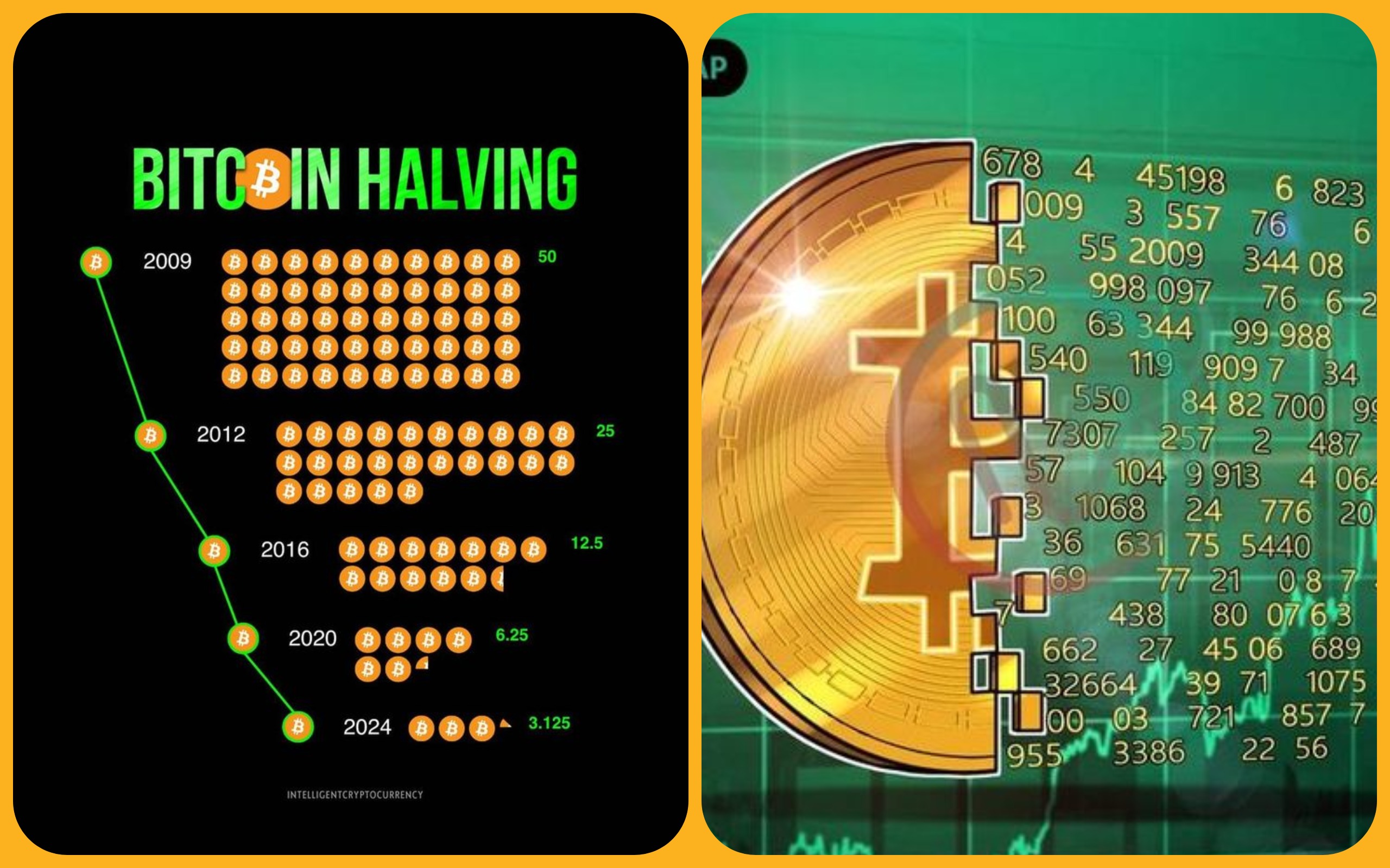 Bitcoin Halving 