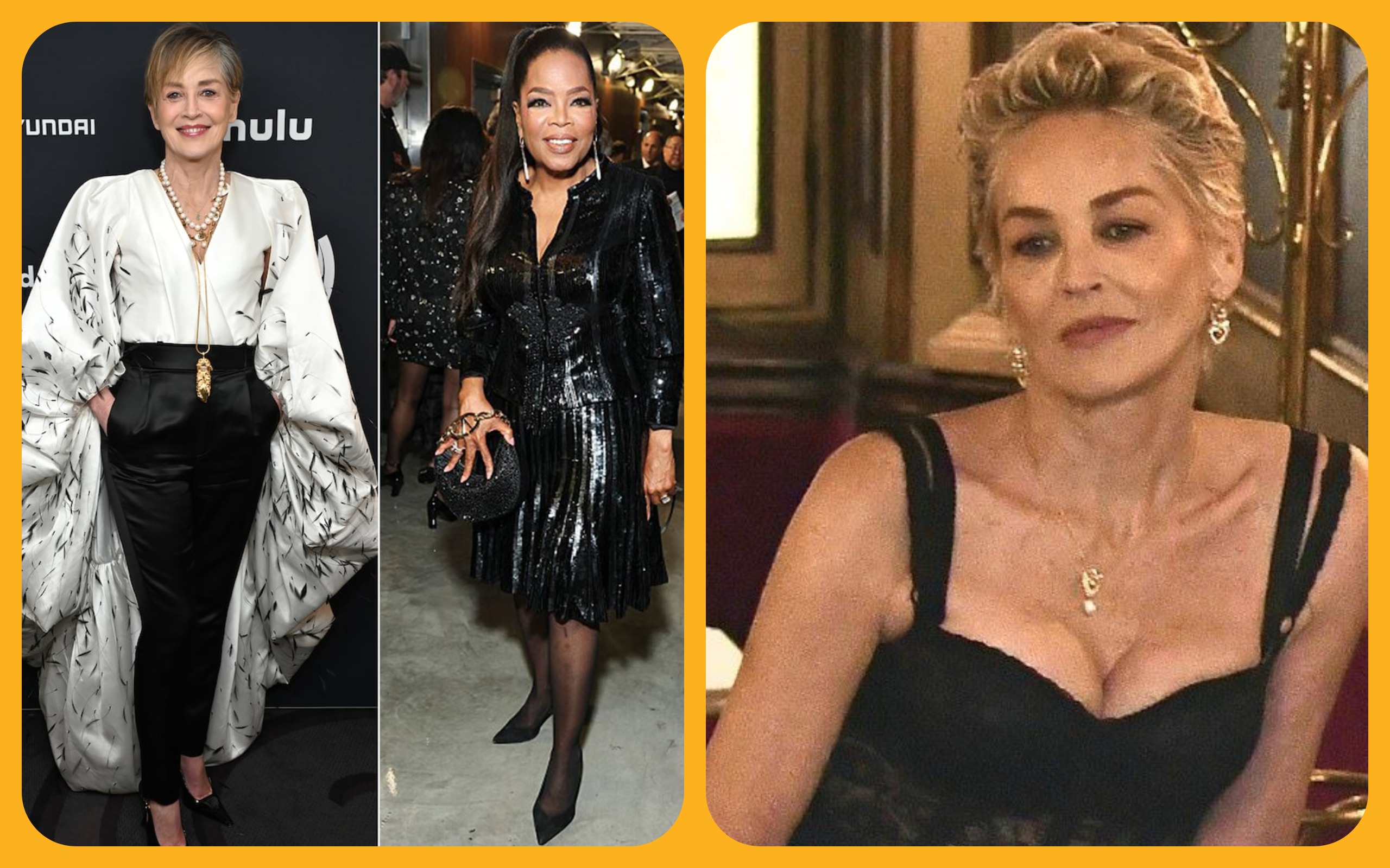 Sharon Stone Shines at GLAAD Awards, Praises Niecy Nash, Oprah & the