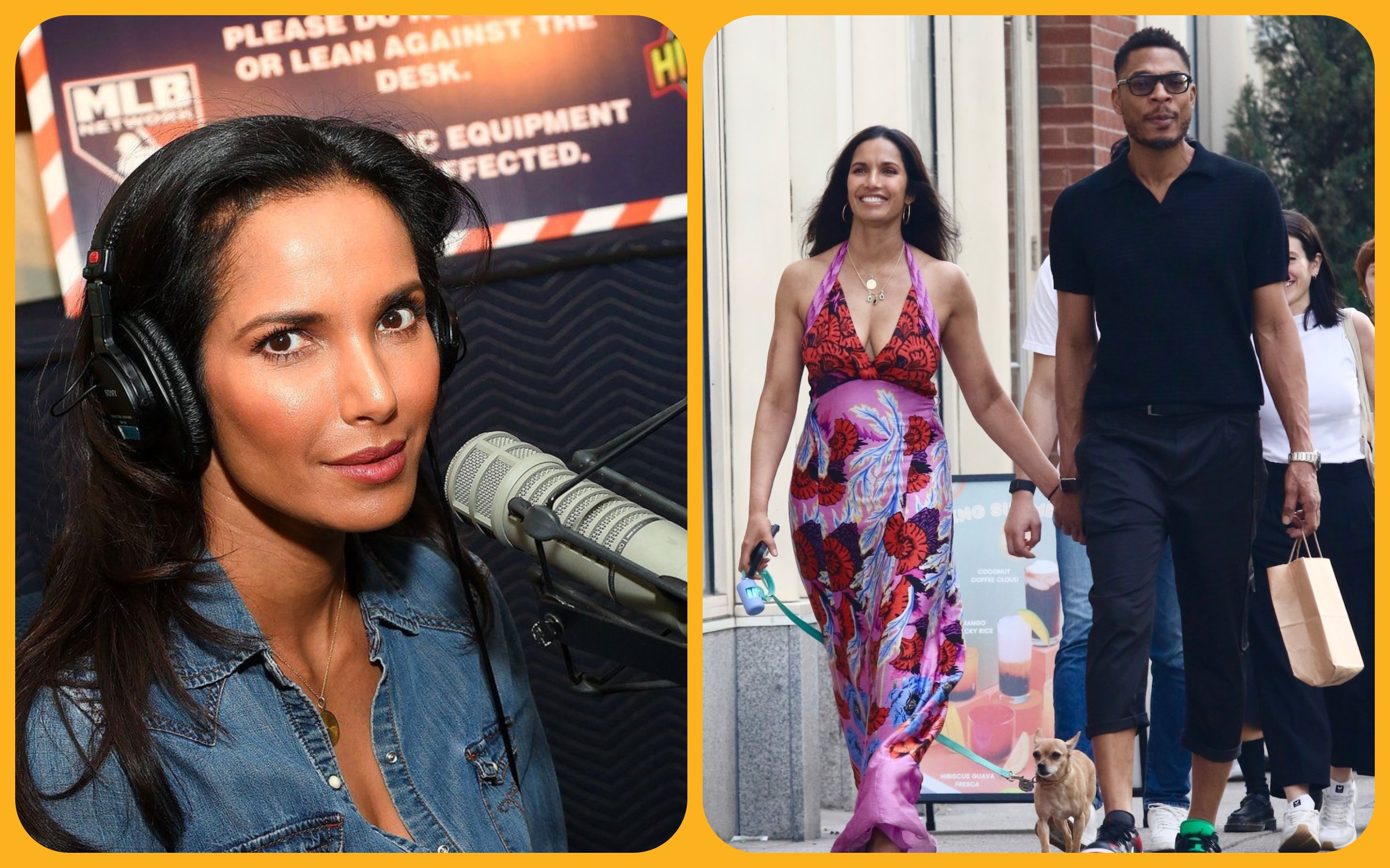 Is Padma Lakshmi back with her former flame, poet Terrance Hayes?