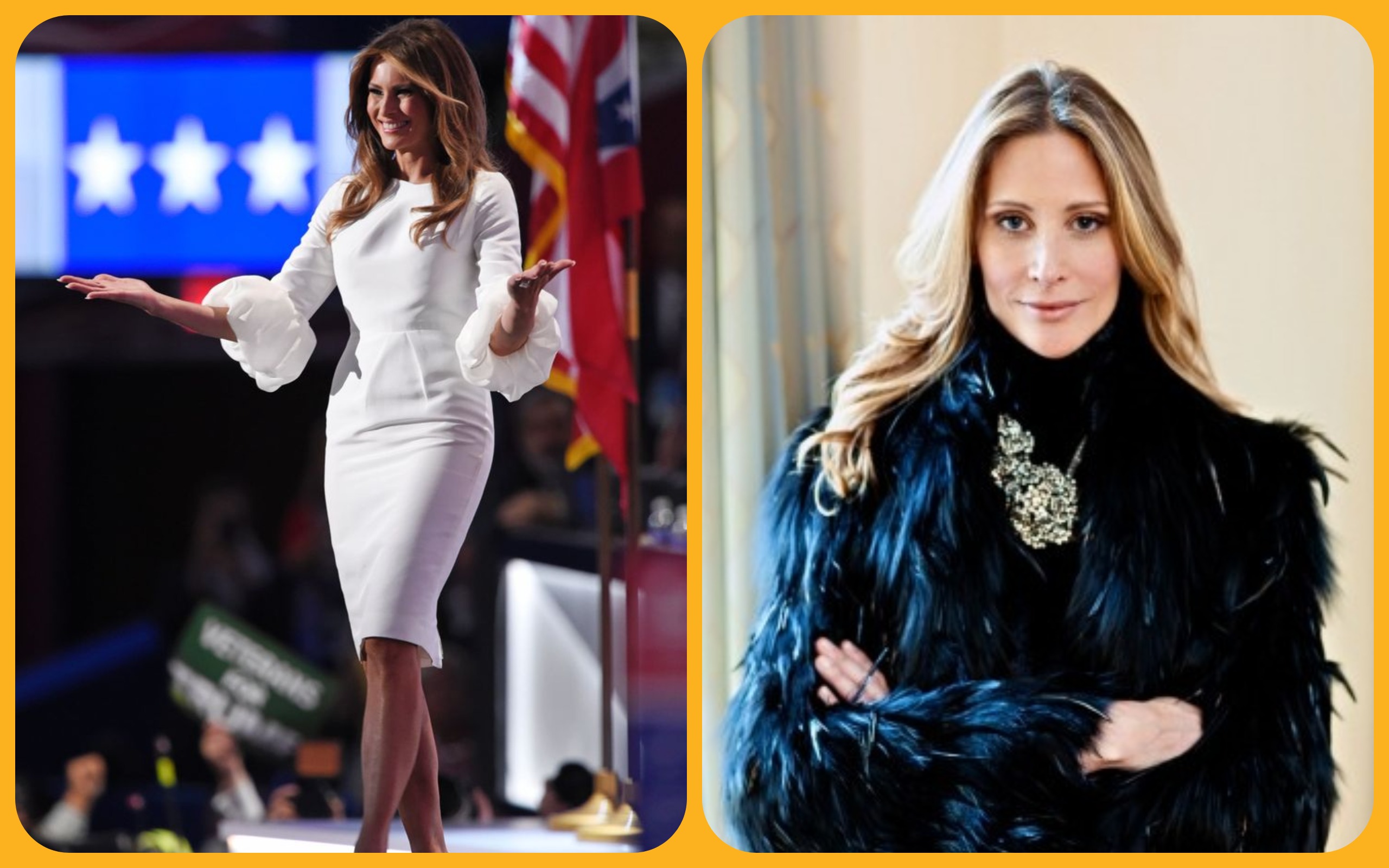 Stephanie Winston Wolkoff, a former aide to and longtime confidante of Melania Trump, 