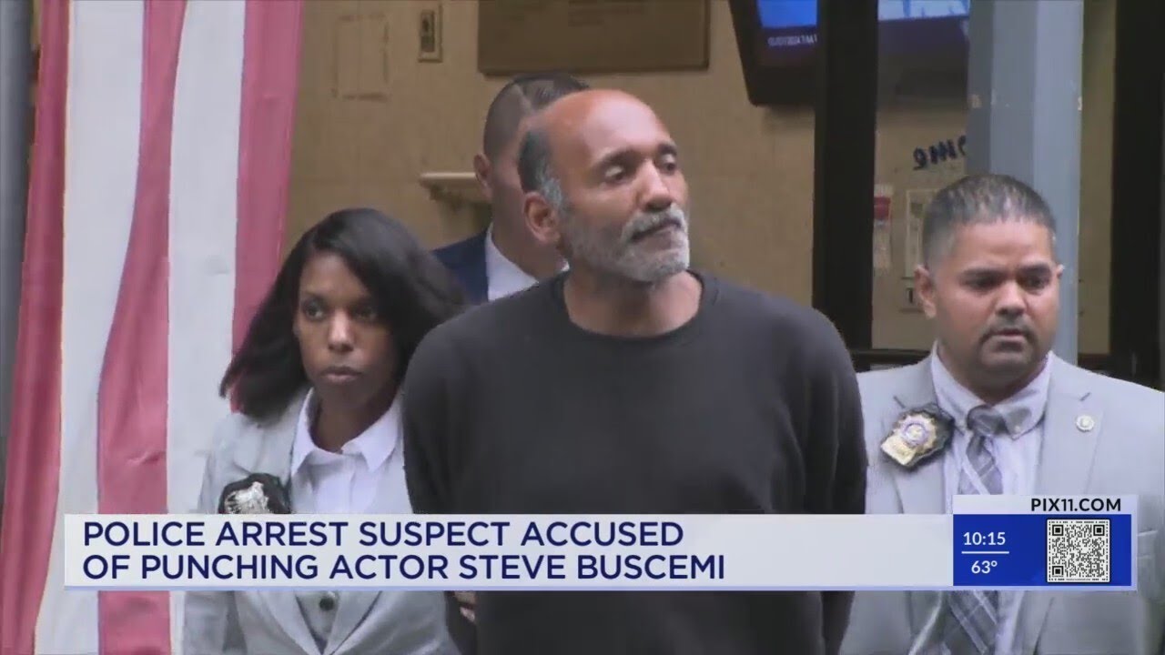 Shock and Outrage as Steve Buscemi Attacked in Random NYC Assault: Suspect Arrested