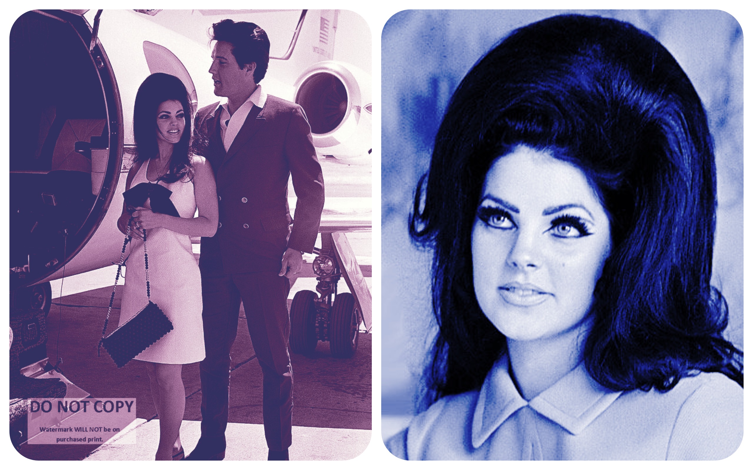 Priscilla Presley 