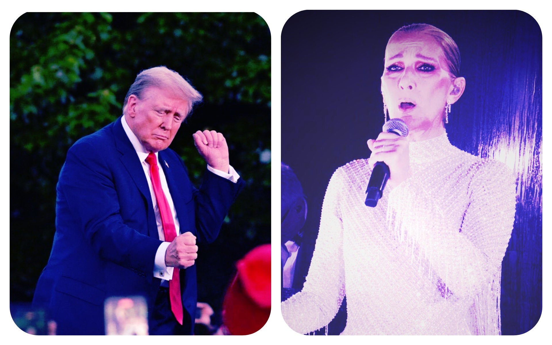 Céline Dion's Epic Clapback at Trump Campaign