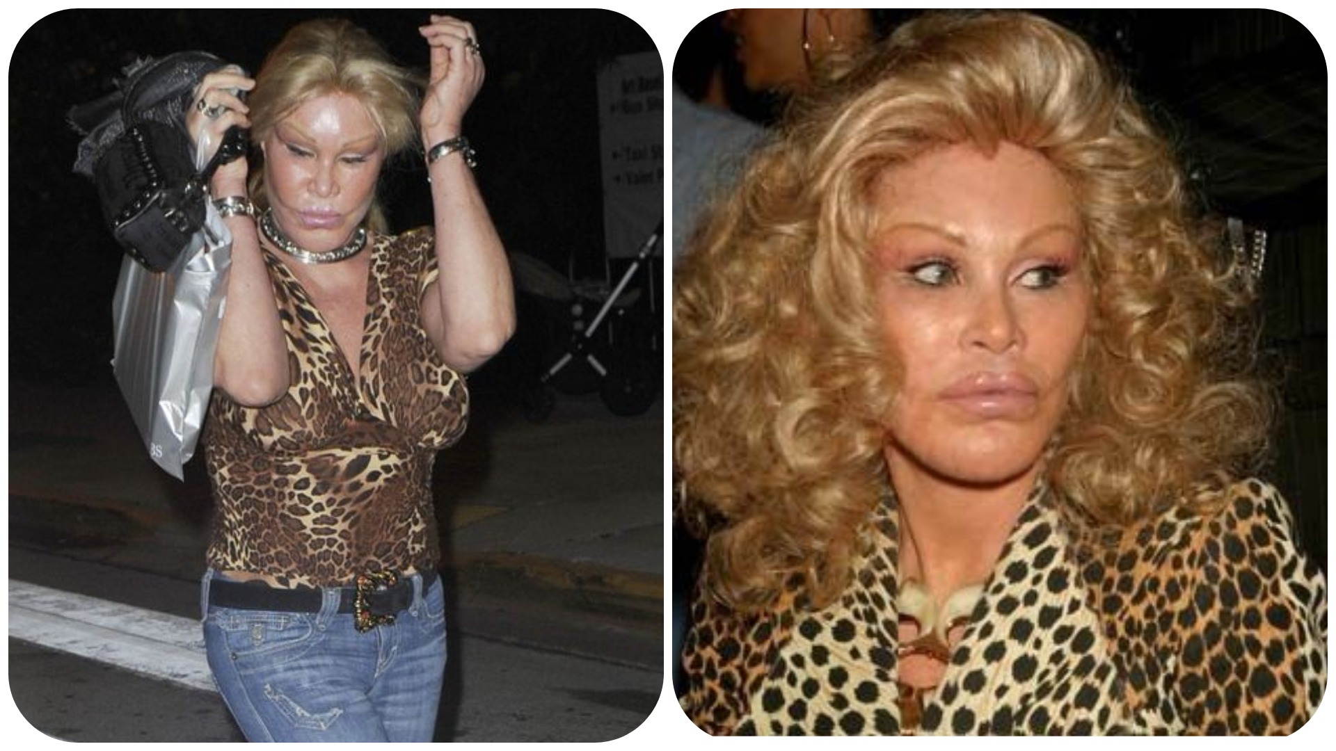 Jocelyne Wildenstein